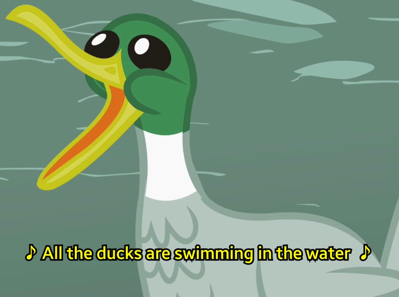 Size: 1377x1024 | Tagged: bird, caption, cropped, derpibooru import, duck, edit, edited screencap, lemon jelly, male, mallard, may the best pet win, open beak, safe, screencap, singing, solo