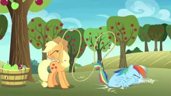 Size: 1920x1080 | Tagged: safe, derpibooru import, screencap, applejack, rainbow dash, earth pony, pegasus, pony, grannies gone wild, apple, apple tree, butt bump, falling, female, food, gritted teeth, image, jpeg, lasso, literal butthurt, pain, rope, sitting, smack, smack dat ass, sweet apple acres, tail, tail pull, this is going to hurt, this will end in pain, tree