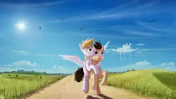 Size: 1280x720 | Tagged: safe, artist:quvr, derpibooru import, derpy hooves, doctor whooves, time turner, bird, earth pony, pegasus, pony, cloudsdale, couple, doctorderpy, female, field, male, mare, road, scenery, shipping, straight, summer, sun