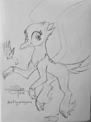 Size: 2318x3112 | Tagged: safe, artist:airfly-pony, derpibooru import, oc, oc:schnabel, unofficial characters only, albatross, bird, bird pone, hybrid, pony, bird tail, cute, design, design a pony, female, large wings, lineart, monochrome, rcf community, solo, traditional art, wings