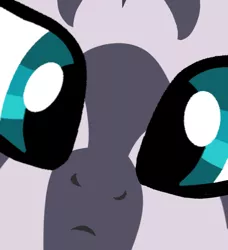 Size: 500x549 | Tagged: artist:grapefruitface1, close-up, close up series, confused, cute, derpibooru import, edit, extreme close up, female, looking at you, meme, part of a set, safe, solo, stare, zebra, zecora, zecorable