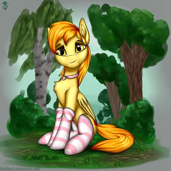 Size: 2000x2000 | Tagged: safe, artist:6editor9, artist:shidotara, derpibooru import, oc, unofficial characters only, pegasus, pony, clothes, collar, female, forest, sitting, socks, solo, striped socks, tree, watching, yellow eyes