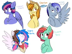 Size: 6000x4500 | Tagged: safe, artist:chub-wub, derpibooru import, oc, unofficial characters only, earth pony, pegasus, pony, absurd resolution, female, magical lesbian spawn, male, mare, next generation, offspring, parent:applejack, parent:fluttershy, parent:pinkie pie, parent:rainbow dash, parent:rarity, parent:twilight sparkle, parents:appledash, parents:flutterdash, parents:pinkiedash, parents:raridash, parents:twidash, simple background, stallion, white background