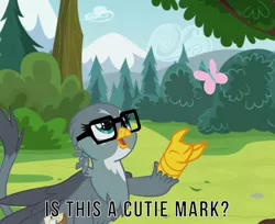 Size: 1200x978 | Tagged: safe, artist:jhaller, derpibooru import, edit, edited screencap, screencap, gabby, butterfly, gryphon, cute, female, gabbybetes, glasses, happy, image macro, implied fluttershy, is this a pigeon, meme, ponified meme