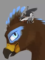 Size: 774x1032 | Tagged: safe, artist:greiser, derpibooru import, oc, oc:der, oc:ruzeth, oc:saewin, unofficial characters only, gryphon, behaving like a bird, birds doing bird things, bust, gray background, griffonized, micro, portrait, preening, question mark, simple background, species swap