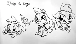 Size: 1920x1118 | Tagged: safe, artist:tjpones, derpibooru import, spike, spike the regular dog, dog, equestria girls, black and white, bone, chest fluff, collar, cute, grayscale, lineart, male, monochrome, open mouth, solo, spikabetes, spiked collar, tail wag, traditional art