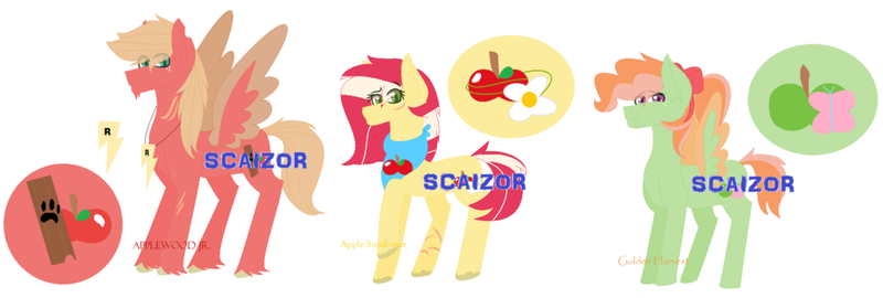 Size: 1024x345 | Tagged: safe, artist:justcallmescaizor, derpibooru import, oc, oc:apple sunflower, oc:applewood jr., oc:golden harvest, unofficial characters only, earth pony, pegasus, pony, colored wings, colored wingtips, female, freckles, jewelry, male, mare, neckerchief, necklace, offspring, parent:big macintosh, parent:fluttershy, parents:fluttermac, simple background, stallion, unshorn fetlocks, watermark, white background