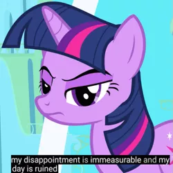 Size: 501x501 | Tagged: safe, derpibooru import, edit, edited screencap, screencap, twilight sparkle, pony, friendship is magic, season 1, caption win, cropped, dialogue, fake, frown, grumpy, grumpy twilight, image macro, lidded eyes, meme, reaction image, solo, text, thereportoftheweek, youtube caption