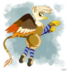 Size: 3233x3423 | Tagged: safe, artist:taurson, derpibooru import, oc, oc:ember burd, gryphon, colored wings, eared griffon, flying, griffon oc, leg warmers, looking back, male, multicolored wings, paws, solo, talons, underpaw