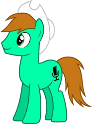 Size: 770x1038 | Tagged: safe, artist:rememberstar, derpibooru import, oc, oc:callion disney, earth pony, pony, 2020 community collab, derpibooru community collaboration, hat, male, simple background, solo, stallion, transparent background