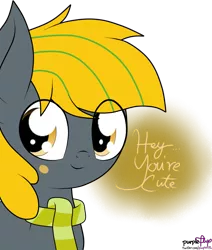 Size: 1303x1536 | Tagged: safe, artist:kimjoman, derpibooru import, oc, oc:jon, unofficial characters only, earth pony, pony, clothes, cute, looking at you, male, scarf, simple background, smiling, solo, text, transparent background