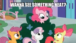 Size: 1280x719 | Tagged: apple bloom, bush, caption, cutie mark crusaders, derpibooru import, edit, edited screencap, image macro, marks for effort, meme, pinkie pie, safe, scootaloo, screencap, stranger danger, sweetie belle