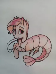 Size: 540x720 | Tagged: artist:ognifireheart, derpibooru import, hybrid, oc, safe, shrimp, shrimp pony, simple background, solo, traditional art, unofficial characters only, white background