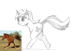 Size: 1989x1428 | Tagged: 4chan, anonymous artist, bipedal, cursed image, cute, derpibooru import, drawthread, funny, funny as hell, grayscale, image macro, irl horse, lyra heartstrings, meme, /mlp/, monochrome, pencil drawing, picture in picture, ponified animal photo, request, safe, simple background, traditional art, two legged creature, wat, white background