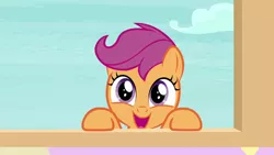 Size: 1280x720 | Tagged: safe, derpibooru import, screencap, scootaloo, pegasus, pony, marks for effort, cute, cutealoo, female, filly, happy, looking at you, open mouth, smiling