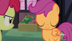 Size: 1920x1080 | Tagged: safe, derpibooru import, edit, edited screencap, screencap, apple bloom, fluttershy, pinkie pie, scootaloo, sweetie belle, earth pony, pegasus, pony, unicorn, marks for effort, animated, cutie mark, cutie mark crusaders, ear rape, explosion, female, filly, funny, mare, meme, scooter, sound, the cmc's cutie marks, webm, wtf boom!