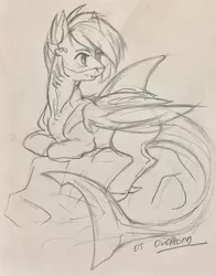 Size: 1980x2526 | Tagged: safe, artist:ovolkorn, derpibooru import, oc, oc:shark bite, original species, pony, shark pony, shark tail, solo, traditional art