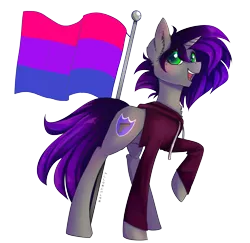 Size: 3708x3600 | Tagged: safe, artist:skylacuna, derpibooru import, oc, oc:amethyst night, pony, unicorn, bisexual pride flag, clothes, female, high res, hoodie, mare, pride, pride flag, simple background, solo, transparent background