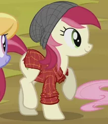 Size: 387x443 | Tagged: beanie, clothes, clothes edit, cropped, derpibooru import, edit, edited screencap, flannel, hat, roseluck, safe, screencap, shirt, solo