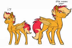 Size: 1024x686 | Tagged: safe, artist:colourstrike, derpibooru import, oc, oc:chrysanthos, unofficial characters only, pegasus, pony, age progression, colt, ear piercing, male, offspring, parent:big macintosh, parent:fluttershy, parents:fluttermac, piercing, simple background, solo, stallion, tail feathers, torn ear, white background