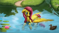 Size: 1920x1080 | Tagged: safe, artist:camyllea, derpibooru import, fluttershy, duck, pegasus, pony, female, lilypad, mare, pond, scenery, solo, speedpaint available, swimming, water