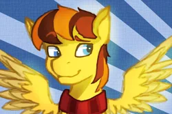 Size: 1080x720 | Tagged: safe, artist:fizzlesoda2000, derpibooru import, oc, oc:pen, unofficial characters only, pegasus, pony, bust, clothes, male, scarf, smiling, solo, spread wings, stallion, wings