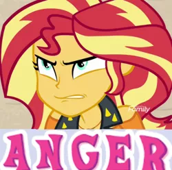 Size: 720x713 | Tagged: safe, derpibooru import, edit, edited screencap, screencap, sunset shimmer, equestria girls, equestria girls series, forgotten friendship, caption, cropped, expand dong, exploitable meme, image macro, meme, solo