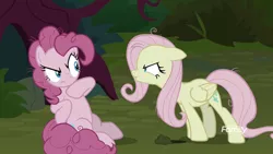 Size: 1920x1080 | Tagged: clone, derpibooru import, discovery family logo, flutterbitch, mean fluttershy, mean pinkie pie, safe, screencap, the mean 6