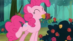 Size: 1920x1080 | Tagged: derpibooru import, flower, forest, pinkie pie, rose, safe, screencap, solo, the mean 6
