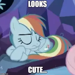 Size: 500x500 | Tagged: safe, derpibooru import, edit, edited screencap, screencap, mean fluttershy, mean rainbow dash, the mean 6, clone, cropped, evil rainbow dash, female, image macro, meme, needs more jpeg, sleeping, sleepydash, solo focus