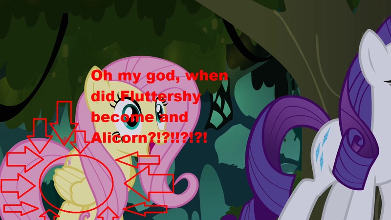 Size: 1280x720 | Tagged: safe, derpibooru import, fluttershy, rarity, pony, arrows, background pony, critical research failure, grammar error, image macro, meme, race swap, solo focus, stupid, wat, wings