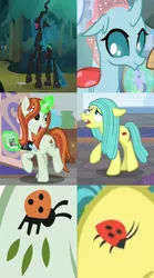 Size: 1052x1890 | Tagged: safe, derpibooru import, screencap, crackle cosette, ocellus, queen chrysalis, changedling, changeling, changeling queen, earth pony, ladybug, pony, unicorn, the mean 6, comparison, cropped, cutie mark, disguise, disguised changeling, female, glowing horn, magic, mare, mommy chrissy, photo, pony ocellus, possible relation, slowpoke, telekinesis