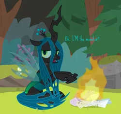 Size: 920x870 | Tagged: artist:dm29, campfire, changeling, changeling queen, clone six, dead, derpibooru import, dialogue, digital art, fire, firewood, implied death, mane sticks, mean six, queen chrysalis, safe, solo, the implications are horrible, the mean 6, twilog, wood