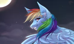 Size: 2405x1437 | Tagged: safe, artist:kindly-fox, derpibooru import, rainbow dash, pegasus, pony, female, looking back, mare, night, smiling, solo
