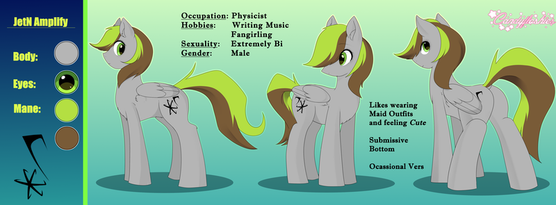 Size: 5000x1845 | Tagged: safe, artist:kei kun, derpibooru import, oc, oc:jetn, cutie mark, male, raised tail, reference sheet, solo, stallion, tail