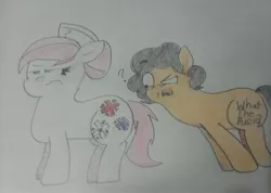 Size: 3144x2244 | Tagged: colored pencil drawing, derpibooru import, duo, female, hasbro why, male, multiple cutie marks, nurse redheart, oc, question mark, safe, traditional art, vulgar