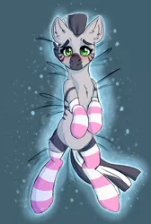 Size: 2432x3624 | Tagged: artist:dinoalpaka, bed, blushing, chest fluff, clothes, cute, derpibooru import, ear fluff, featureless crotch, male, oc, oc:zebra north, on back, rcf community, socks, solo, solo male, striped socks, suggestive, unofficial characters only, zebra, zebra oc