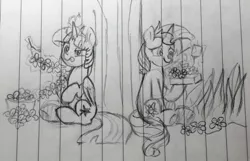 Size: 1546x993 | Tagged: safe, artist:chautung, derpibooru import, sunset shimmer, twilight sparkle, twilight sparkle (alicorn), alicorn, pony, unicorn, cute, female, floral head wreath, flower, lesbian, levitation, lined paper, magic, mare, pencil drawing, present, shimmerbetes, shipping, sitting, sunsetsparkle, telekinesis, tongue out, traditional art