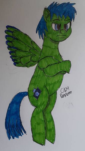 Size: 738x1312 | Tagged: artist:rapidsnap, crossed arms, derpibooru import, flying, oc, oc:rapidsnap, safe, solo, traditional art, unamused, unofficial characters only