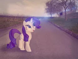 Size: 1280x960 | Tagged: artist needed, derpibooru import, horizon, irl, photo, photoshop, ponies in real life, rarity, road, safe, sky