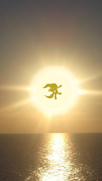 Size: 423x750 | Tagged: against sun, artist needed, derpibooru import, fluttershy, flying, horizon, irl, ocean, photo, safe, sun, sunrise