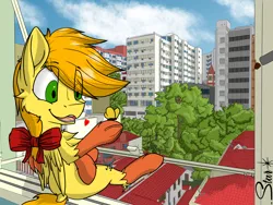 Size: 2156x1620 | Tagged: safe, artist:starrypallet, derpibooru import, oc, oc:obsolete tech, unofficial characters only, butterfly, pegasus, pony, chest fluff, church, city, cityscape, male, solo, stallion