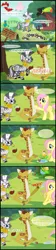 Size: 1047x4689 | Tagged: safe, artist:bronybyexception, derpibooru import, clementine, fluttershy, zecora, bird, flying pig, fruit bat, giraffe, keel-billed toucan, parrot, pegasus, pig, pony, raccoon, seagull, toucan, zebra, fluttershy leans in, cloven hooves, coconut, comic, ear piercing, earring, female, food, jewelry, leg rings, mare, neck rings, piercing, prone, salad, sweet feather sanctuary, talking giraffe