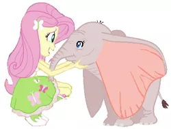 Size: 427x323 | Tagged: safe, artist:wesleyabram, derpibooru import, fluttershy, elephant, equestria girls, crossover, dumbo