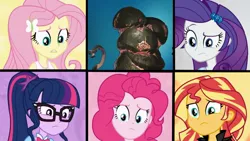 Size: 1280x720 | Tagged: safe, derpibooru import, edit, edited screencap, screencap, fluttershy, pinkie pie, rarity, sci-twi, sunset shimmer, twilight sparkle, eqg summertime shorts, equestria girls, get the show on the road, blorg, geode of fauna, one of these things is not like the others, stellaris