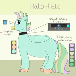 Size: 3500x3500 | Tagged: artist:lupin quill, choker, chubby, derpibooru import, fat, hippogriff, hippogriff oc, oc, oc:halo-halo, reference sheet, safe, simple background, solo, unofficial characters only