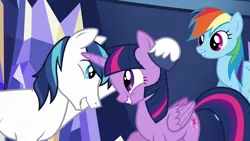 Size: 1280x720 | Tagged: safe, derpibooru import, screencap, rainbow dash, shining armor, twilight sparkle, twilight sparkle (alicorn), alicorn, pegasus, pony, unicorn, the one where pinkie pie knows, brother and sister, cute, dashabetes, female, looking at each other, male, mare, open mouth, shining adorable, siblings, smiling, stallion, twiabetes, twilight's castle