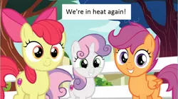 Size: 1284x718 | Tagged: 1000 hours in ms paint, apple bloom, cute, cutie mark crusaders, derpibooru import, dialogue, edit, edited screencap, estrus, female, filly, makes no sense, marks for effort, scootaloo, screencap, smiling, suggestive, sweetie belle