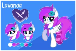 Size: 5685x3848 | Tagged: safe, artist:sharemyshipment, derpibooru import, oc, oc:lavanda, unofficial characters only, pegasus, pony, clothes, female, flower, flower in hair, looking at you, mare, reference sheet, socks, solo, striped socks