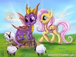 Size: 900x672 | Tagged: safe, artist:ketty, derpibooru import, fluttershy, dragonfly, pegasus, pony, sheep, crossover, grass, spyro the dragon, this will end in fire, this will end in tears